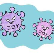 ヒメ日記 2025/08/09 16:29 投稿 ことり G-STAGE