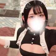 ヒメ日記 2025/08/19 14:47 投稿 ことり G-STAGE