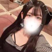 ヒメ日記 2025/08/24 01:29 投稿 ことり G-STAGE