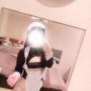 ヒメ日記 2025/08/28 17:54 投稿 ことり G-STAGE