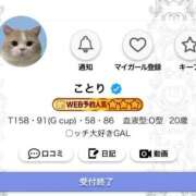 ヒメ日記 2025/08/29 19:42 投稿 ことり G-STAGE