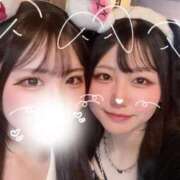 ヒメ日記 2025/09/22 14:29 投稿 ことり G-STAGE