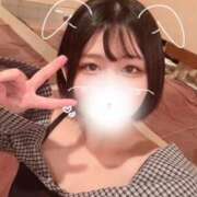 ヒメ日記 2025/09/27 14:29 投稿 ことり G-STAGE