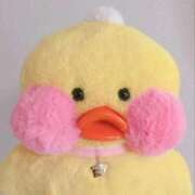 ヒメ日記 2025/10/20 00:09 投稿 ことり G-STAGE