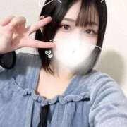 ヒメ日記 2025/10/31 14:39 投稿 ことり G-STAGE