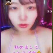 ヒメ日記 2025/11/03 21:59 投稿 ことり G-STAGE