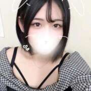 ヒメ日記 2025/11/14 20:39 投稿 ことり G-STAGE