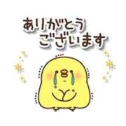 ヒメ日記 2025/11/16 17:59 投稿 ことり G-STAGE