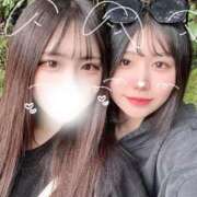 ヒメ日記 2025/11/17 21:22 投稿 ことり G-STAGE