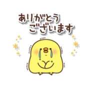 ヒメ日記 2025/11/27 21:41 投稿 ことり G-STAGE
