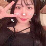 ヒメ日記 2025/12/16 17:49 投稿 ことり G-STAGE