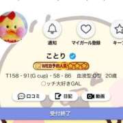 ヒメ日記 2026/01/04 17:13 投稿 ことり G-STAGE