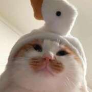 ヒメ日記 2026/01/26 19:29 投稿 ことり G-STAGE