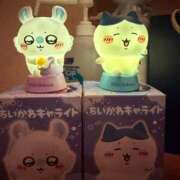 ヒメ日記 2026/02/12 15:09 投稿 ことり G-STAGE