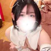 ヒメ日記 2026/02/14 05:51 投稿 ことり G-STAGE