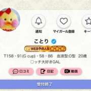 ヒメ日記 2026/02/15 17:19 投稿 ことり G-STAGE