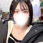 ヒメ日記 2026/02/16 14:19 投稿 ことり G-STAGE