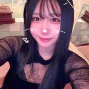 ヒメ日記 2026/02/21 12:49 投稿 ことり G-STAGE