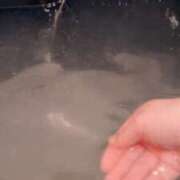 ヒメ日記 2026/03/02 17:59 投稿 ことり G-STAGE