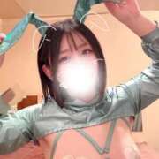 ヒメ日記 2026/03/08 12:19 投稿 ことり G-STAGE