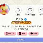 ヒメ日記 2026/03/08 16:32 投稿 ことり G-STAGE