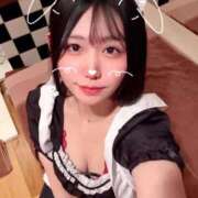 ヒメ日記 2026/03/08 22:30 投稿 ことり G-STAGE