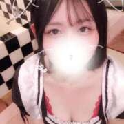 ヒメ日記 2026/03/09 08:31 投稿 ことり G-STAGE