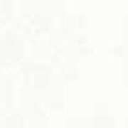 ヒメ日記 2026/03/11 19:12 投稿 ことり G-STAGE