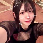 ヒメ日記 2026/03/19 06:14 投稿 ことり G-STAGE