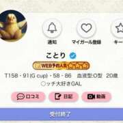 ヒメ日記 2026/03/19 13:19 投稿 ことり G-STAGE