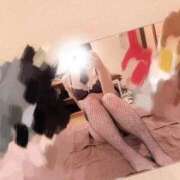 ヒメ日記 2026/03/20 19:05 投稿 ことり G-STAGE