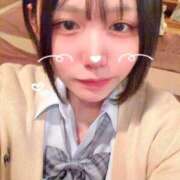 ヒメ日記 2026/03/23 16:09 投稿 ことり G-STAGE