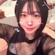 ヒメ日記 2026/04/04 01:41 投稿 ことり G-STAGE