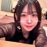 ヒメ日記 2026/04/04 08:49 投稿 ことり G-STAGE