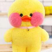 ヒメ日記 2026/04/06 18:06 投稿 ことり G-STAGE