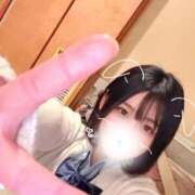 ヒメ日記 2026/04/06 19:29 投稿 ことり G-STAGE