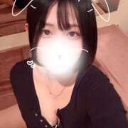 ヒメ日記 2026/04/16 05:21 投稿 ことり G-STAGE