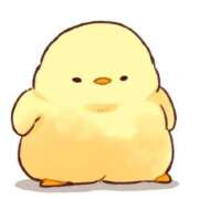 ヒメ日記 2026/04/18 15:29 投稿 ことり G-STAGE