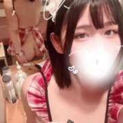 ヒメ日記 2026/04/20 15:21 投稿 ことり G-STAGE