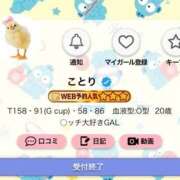 ヒメ日記 2026/04/30 08:29 投稿 ことり G-STAGE