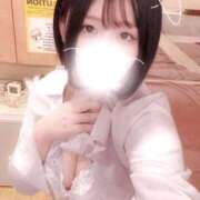 ヒメ日記 2026/05/11 09:03 投稿 ことり G-STAGE