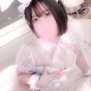 ヒメ日記 2026/05/15 23:49 投稿 ことり G-STAGE