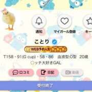 ヒメ日記 2026/05/17 16:29 投稿 ことり G-STAGE