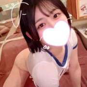 ヒメ日記 2026/06/04 08:49 投稿 ことり G-STAGE