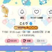 ヒメ日記 2026/06/04 14:10 投稿 ことり G-STAGE