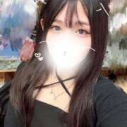 ヒメ日記 2026/06/15 14:56 投稿 ことり G-STAGE