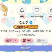 ヒメ日記 2026/06/20 19:09 投稿 ことり G-STAGE