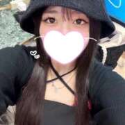 ヒメ日記 2026/06/22 14:29 投稿 ことり G-STAGE