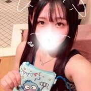 ヒメ日記 2026/06/26 06:39 投稿 ことり G-STAGE
