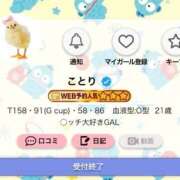 ヒメ日記 2026/06/26 09:26 投稿 ことり G-STAGE